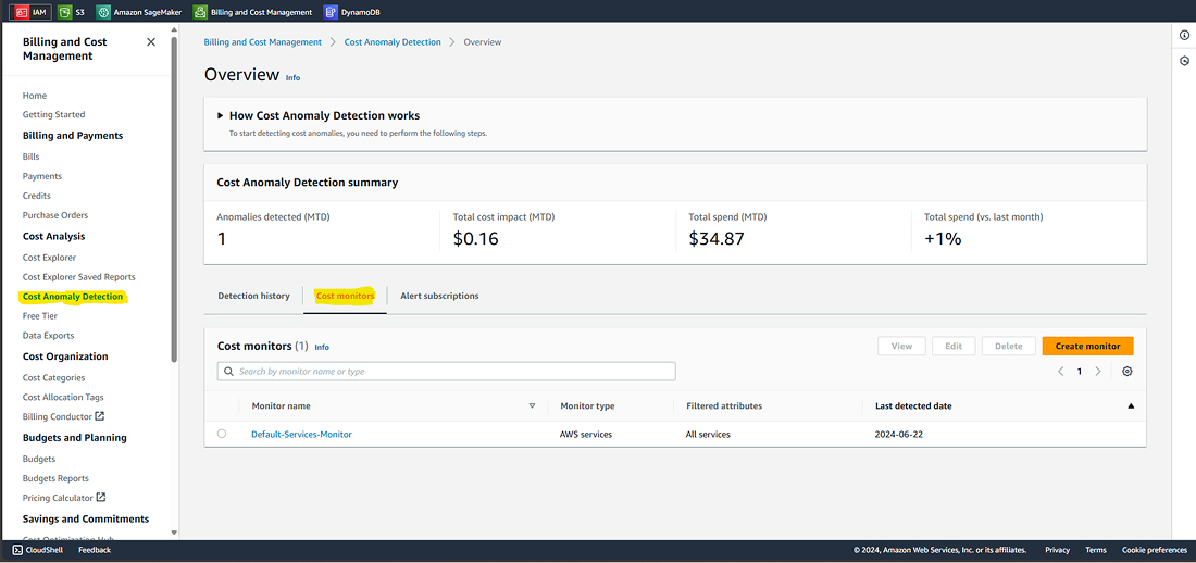AWS Cost Anomaly Detection