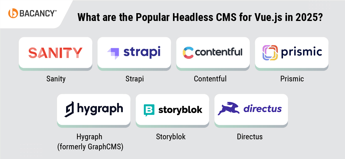 Popular Headless CMS for Vue.js