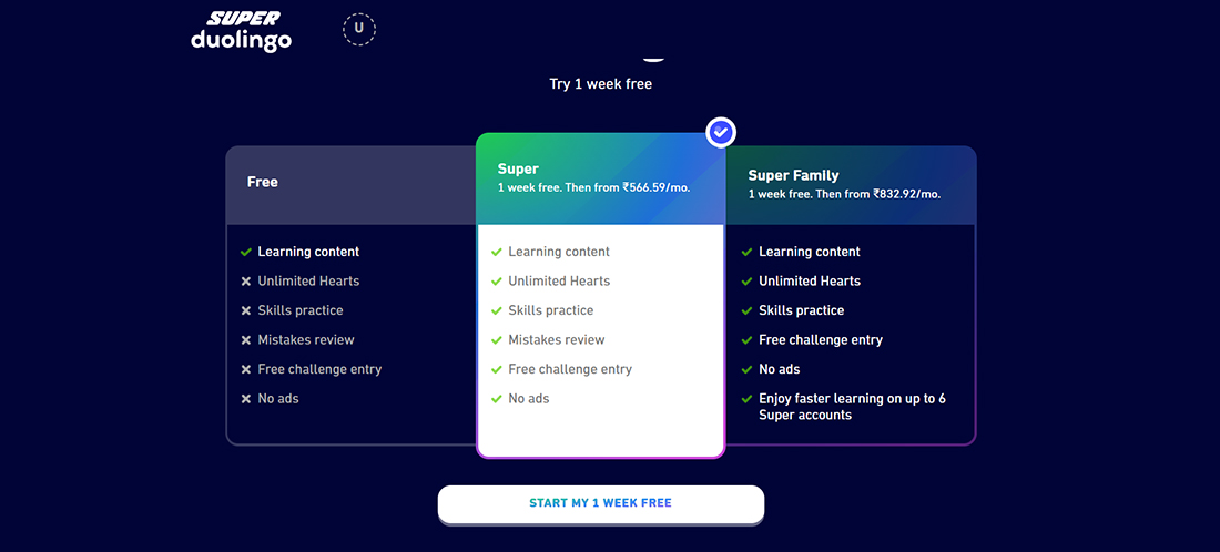 Subscription‑Based Model