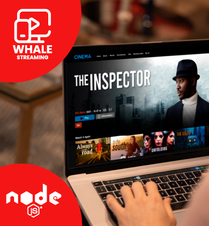 Video Streaming Platform Case Study with Node.js