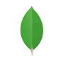 MongoDB