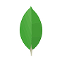 MongoDB