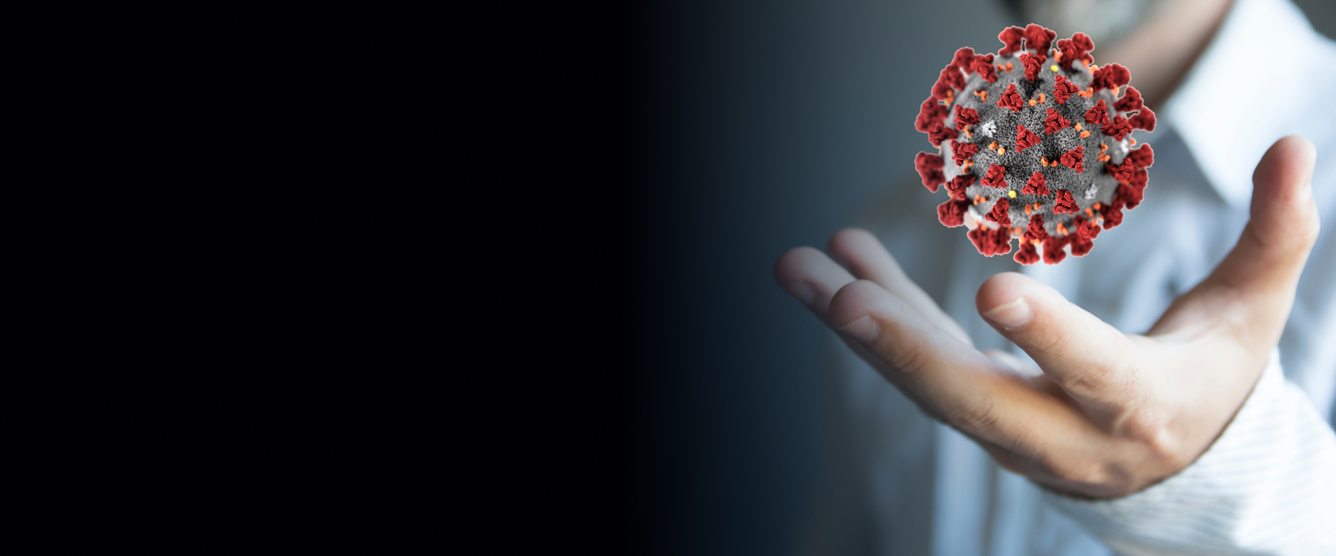 Chronic Disease Management Software Development