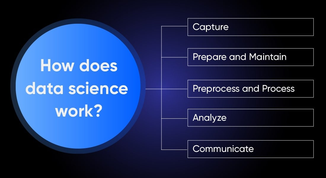 How Does Data Science Work?