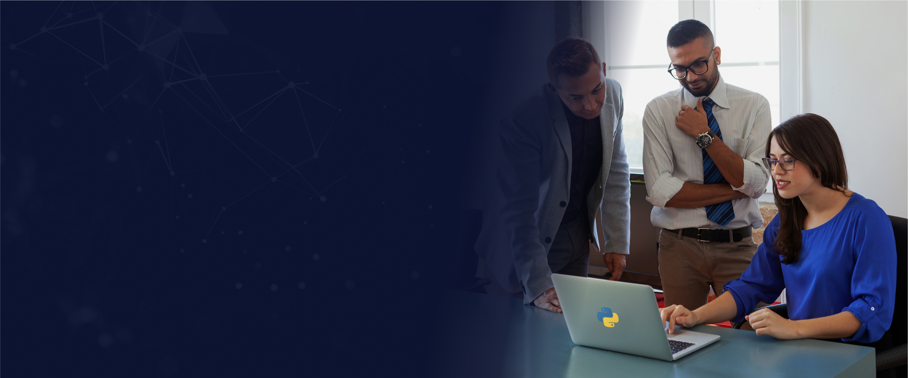 Python Consulting Services