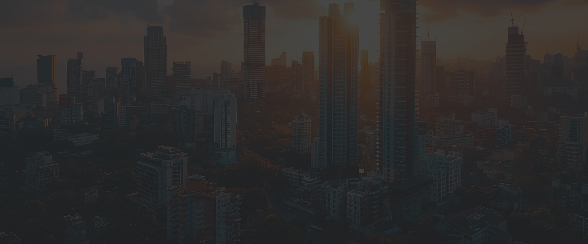 Real Estate Web Development Company
