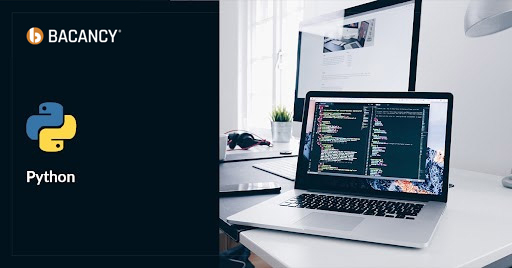 Python Development Company and Services