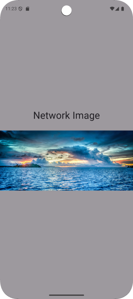 Check if Image is Loaded in Flutter Image.network Widget