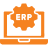 ERP and Accounting Integration